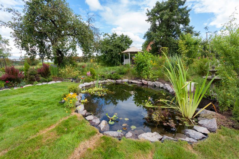 bassin de jardin aquatique près de Putanges-le-Lac