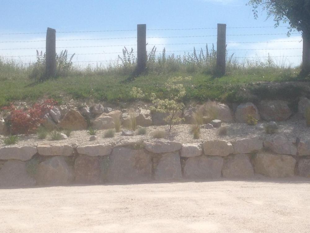 paysagiste (16)