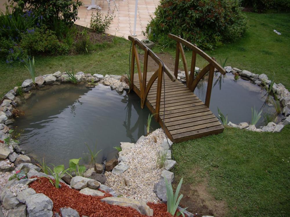 bassin (6)