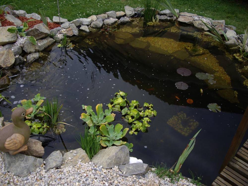 bassin
