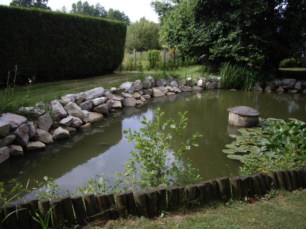 bassin